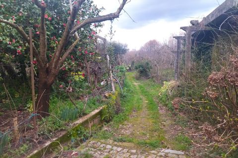 Farm i Fundao, Castelo Branco, Fundao - € 425.000 | Ref: W6399 - foto 18