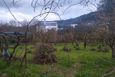 Farm i Fundao, Castelo Branco, Fundao - € 425.000 | Ref: W6399 - foto 19