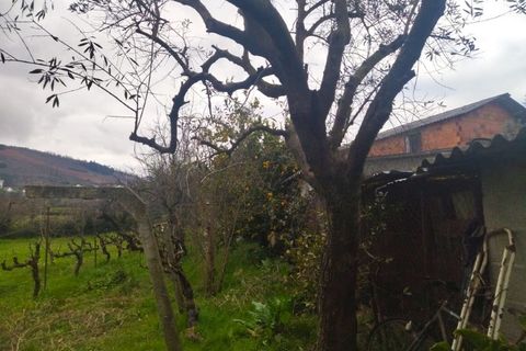 Farm i Fundao, Castelo Branco, Fundao - € 425.000 | Ref: W6399 - foto 20