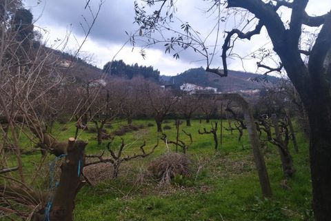Farm i Fundao, Castelo Branco, Fundao - € 425.000 | Ref: W6399 - foto 21