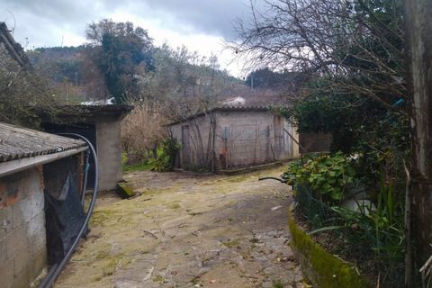 Farm i Fundao, Castelo Branco, Fundao - € 425.000 | Ref: W6399 - foto 23