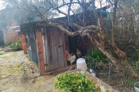 Farm i Fundao, Castelo Branco, Fundao - € 425.000 | Ref: W6399 - foto 24