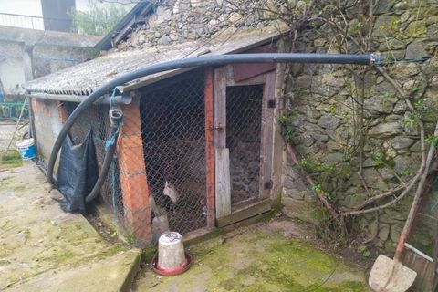 Farm i Fundao, Castelo Branco, Fundao - € 425.000 | Ref: W6399 - foto 25