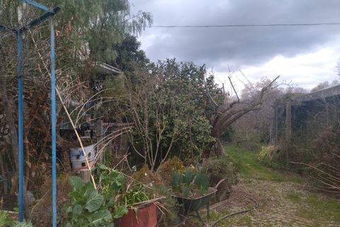 Farm i Fundao, Castelo Branco, Fundao - € 425.000 | Ref: W6399 - foto 26