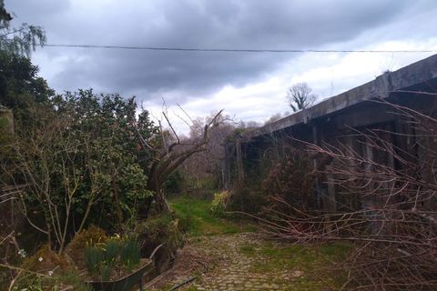 Farm i Fundao, Castelo Branco, Fundao - € 425.000 | Ref: W6399 - foto 27