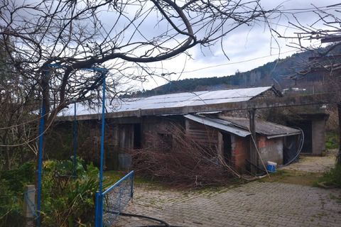 Farm i Fundao, Castelo Branco, Fundao - € 425.000 | Ref: W6399 - foto 29