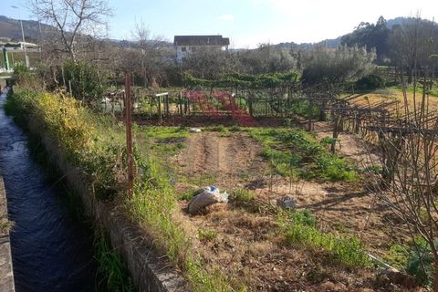 Tomt i Ponte de Lima, Viana do Castelo, Ponte de Lima - € 25 000 | Ref: PTL-1159-AL-0224 - foto 4