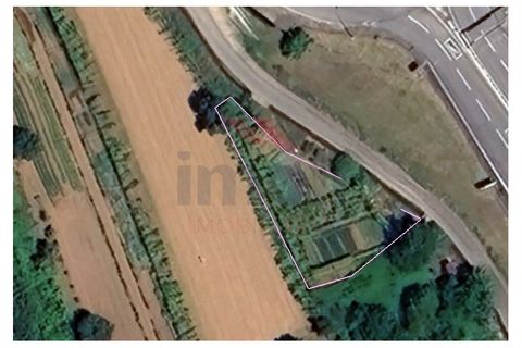 Tomt i Ponte de Lima, Viana do Castelo, Ponte de Lima - € 25 000 | Ref: PTL-1159-AL-0224 - foto 5