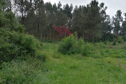 Ruinere i Arcos de Valdevez, Viana do Castelo, Arcos de Valdevez - € 45.000 | Ref: PTL-1006-GV-0421 - foto 6