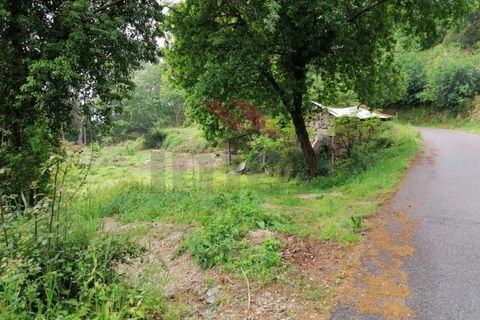 Ruinere i Arcos de Valdevez, Viana do Castelo, Arcos de Valdevez - € 45.000 | Ref: PTL-1006-GV-0421 - foto 10