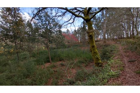 Helårsgrund i Arcos de Valdevez, Viana do Castelo, Arcos de Valdevez - € 180.000 | Ref: AVV-2535-AG-0326 - foto 2