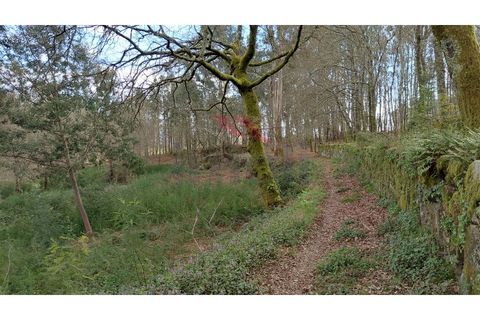 Helårsgrund i Arcos de Valdevez, Viana do Castelo, Arcos de Valdevez - € 180.000 | Ref: AVV-2535-AG-0326 - foto 4