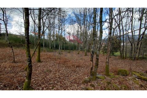 Helårsgrund i Arcos de Valdevez, Viana do Castelo, Arcos de Valdevez - € 180.000 | Ref: AVV-2535-AG-0326 - foto 5