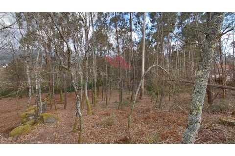 Helårsgrund i Arcos de Valdevez, Viana do Castelo, Arcos de Valdevez - € 180.000 | Ref: AVV-2535-AG-0326 - foto 6