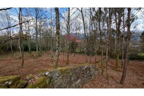 Helårsgrund i Arcos de Valdevez, Viana do Castelo, Arcos de Valdevez - € 180.000 | Ref: AVV-2535-AG-0326 - foto 7