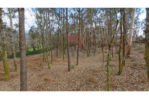 Helårsgrund i Arcos de Valdevez, Viana do Castelo, Arcos de Valdevez - € 180.000 | Ref: AVV-2535-AG-0326 - foto 8