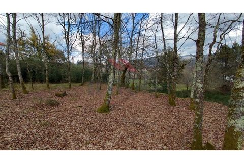 Helårsgrund i Arcos de Valdevez, Viana do Castelo, Arcos de Valdevez - € 180.000 | Ref: AVV-2535-AG-0326 - foto 9