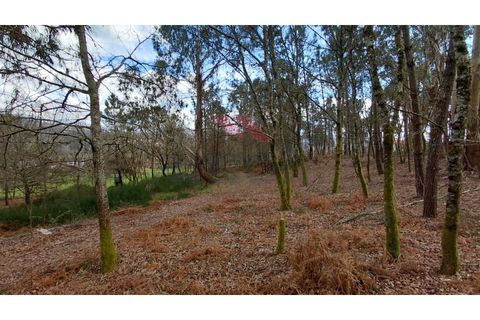 Helårsgrund i Arcos de Valdevez, Viana do Castelo, Arcos de Valdevez - € 180.000 | Ref: AVV-2535-AG-0326 - foto 10