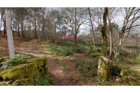 Helårsgrund i Arcos de Valdevez, Viana do Castelo, Arcos de Valdevez - € 180.000 | Ref: AVV-2535-AG-0326 - foto 11