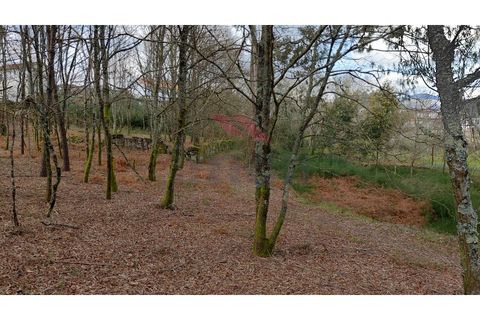 Helårsgrund i Arcos de Valdevez, Viana do Castelo, Arcos de Valdevez - € 180.000 | Ref: AVV-2535-AG-0326 - foto 12