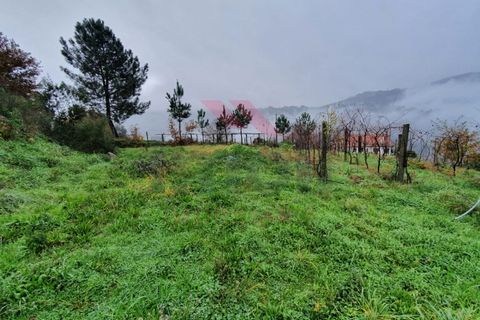 Helårsgrund i Arcos de Valdevez, Viana do Castelo, Arcos de Valdevez - € 35.000 | Ref: AVV-1769-AD-1220 - foto 2
