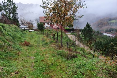 Helårsgrund i Arcos de Valdevez, Viana do Castelo, Arcos de Valdevez - € 35.000 | Ref: AVV-1769-AD-1220 - foto 5