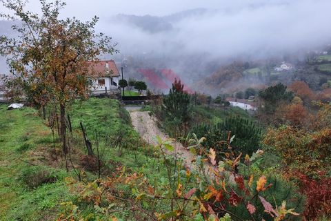 Helårsgrund i Arcos de Valdevez, Viana do Castelo, Arcos de Valdevez - € 35.000 | Ref: AVV-1769-AD-1220 - foto 6