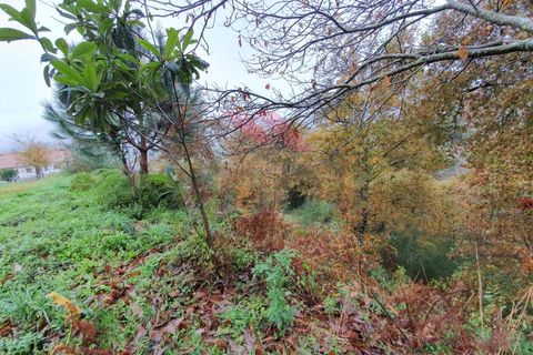 Helårsgrund i Arcos de Valdevez, Viana do Castelo, Arcos de Valdevez - € 35.000 | Ref: AVV-1769-AD-1220 - foto 9