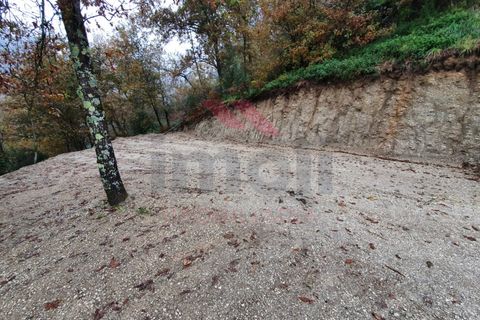 Helårsgrund i Arcos de Valdevez, Viana do Castelo, Arcos de Valdevez - € 35.000 | Ref: AVV-1769-AD-1220 - foto 13