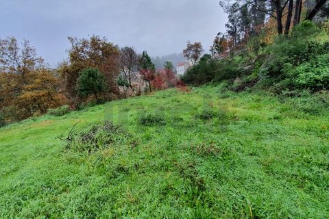 Helårsgrund i Arcos de Valdevez, Viana do Castelo, Arcos de Valdevez - € 35.000 | Ref: AVV-1769-AD-1220 - foto 15