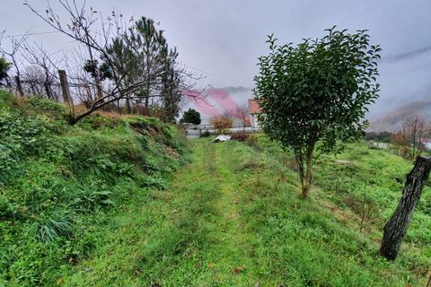 Helårsgrund i Arcos de Valdevez, Viana do Castelo, Arcos de Valdevez - € 35.000 | Ref: AVV-1769-AD-1220 - foto 18