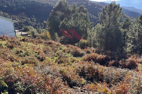 Helårsgrund i Arcos de Valdevez, Viana do Castelo, Arcos de Valdevez - € 25.000 | Ref: AVV-2492-MR-1125 - foto 3