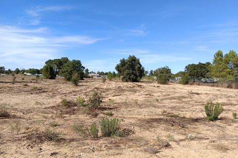 Helårsgrund i Quinta do Anjo, Setubal, Quinta do Anjo - € 960.000 | Ref: W6413 - foto 2