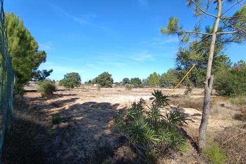 Helårsgrund i Quinta do Anjo, Setubal, Quinta do Anjo - € 960.000 | Ref: W6413 - foto 7
