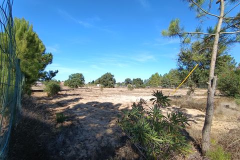 Helårsgrund i Quinta do Anjo, Setubal, Quinta do Anjo - € 960.000 | Ref: W6413 - foto 8