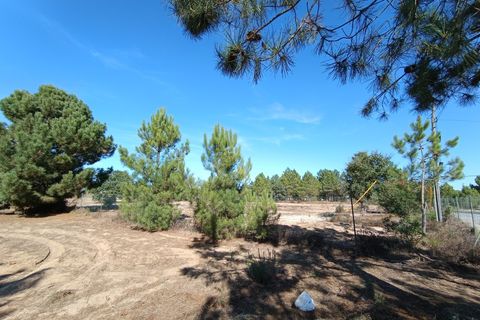 Helårsgrund i Quinta do Anjo, Setubal, Quinta do Anjo - € 960.000 | Ref: W6413 - foto 9