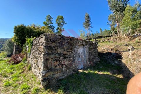 Ruinere i Arcos de Valdevez, Viana do Castelo, Arcos de Valdevez - € 45.000 | Ref: AVV-1777-NR-0121 - foto 6