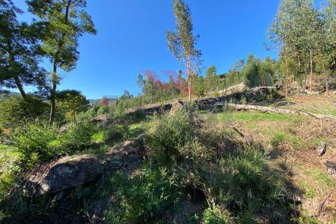 Ruinere i Arcos de Valdevez, Viana do Castelo, Arcos de Valdevez - € 45.000 | Ref: AVV-1777-NR-0121 - foto 7