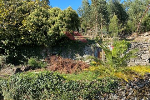 Ruinere i Arcos de Valdevez, Viana do Castelo, Arcos de Valdevez - € 45.000 | Ref: AVV-1777-NR-0121 - foto 14