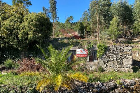 Ruinere i Arcos de Valdevez, Viana do Castelo, Arcos de Valdevez - € 45.000 | Ref: AVV-1777-NR-0121 - foto 15