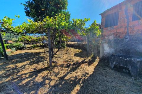 Landejendom i Arcos de Valdevez, Viana do Castelo, Arcos de Valdevez - € 65.000 | Ref: AVV-2075-MR-0822 - foto 5