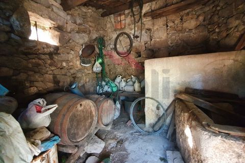 Landejendom i Arcos de Valdevez, Viana do Castelo, Arcos de Valdevez - € 65.000 | Ref: AVV-2075-MR-0822 - foto 7