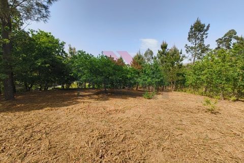 Helårsgrund i Arcos de Valdevez, Viana do Castelo, Arcos de Valdevez - € 65.000 | Ref: AVV-2548-VF-0426 - foto 2