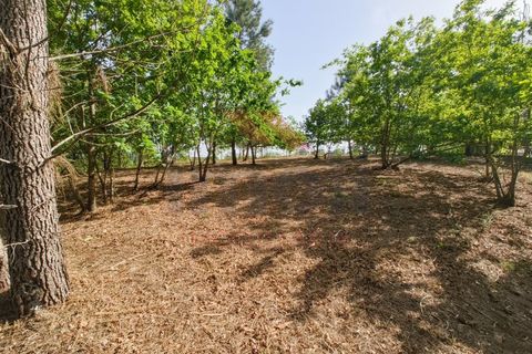 Helårsgrund i Arcos de Valdevez, Viana do Castelo, Arcos de Valdevez - € 65.000 | Ref: AVV-2548-VF-0426 - foto 3