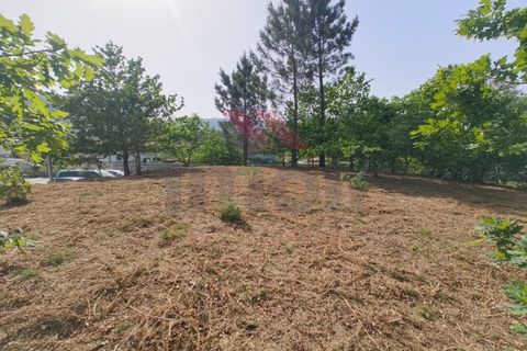 Helårsgrund i Arcos de Valdevez, Viana do Castelo, Arcos de Valdevez - € 65.000 | Ref: AVV-2548-VF-0426 - foto 4