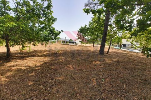 Helårsgrund i Arcos de Valdevez, Viana do Castelo, Arcos de Valdevez - € 65.000 | Ref: AVV-2548-VF-0426 - foto 5