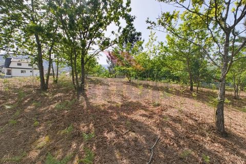 Helårsgrund i Arcos de Valdevez, Viana do Castelo, Arcos de Valdevez - € 65.000 | Ref: AVV-2548-VF-0426 - foto 6