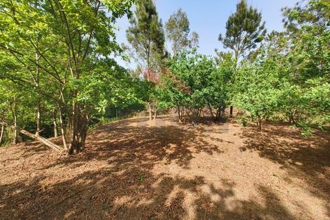 Helårsgrund i Arcos de Valdevez, Viana do Castelo, Arcos de Valdevez - € 65.000 | Ref: AVV-2548-VF-0426 - foto 7