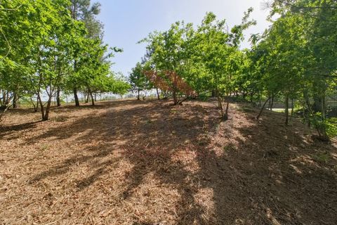 Helårsgrund i Arcos de Valdevez, Viana do Castelo, Arcos de Valdevez - € 65.000 | Ref: AVV-2548-VF-0426 - foto 9