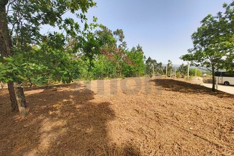 Helårsgrund i Arcos de Valdevez, Viana do Castelo, Arcos de Valdevez - € 65.000 | Ref: AVV-2548-VF-0426 - foto 10